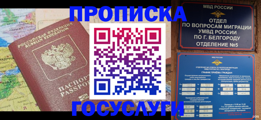 прописка регистрация в Шатуре